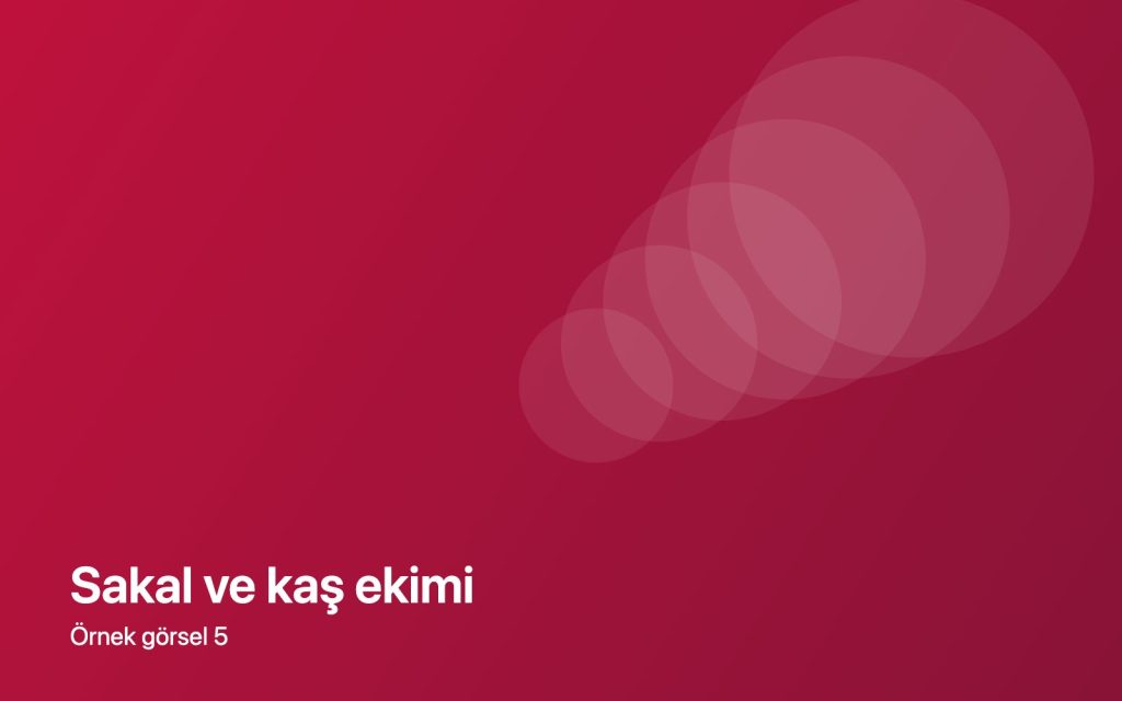 Sakal ve kaş ekimi — örnek görsel
